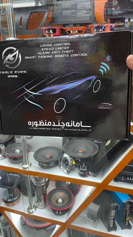 کروز کنترل ساینا اس فابریکی روی فرمان